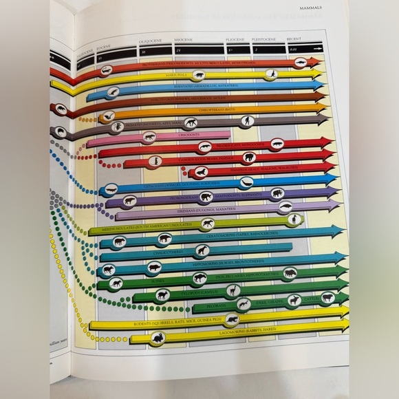 Macmillan Illustrated Encyclopedia of Dinosaurs Children’s Book - Picture 10 of 10